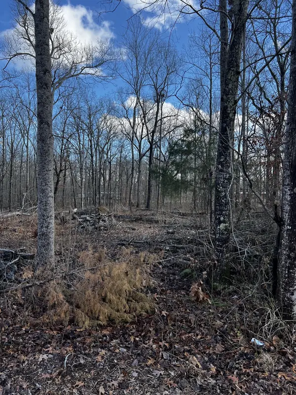 0 Oak Dr, Beechgrove, TN 37018