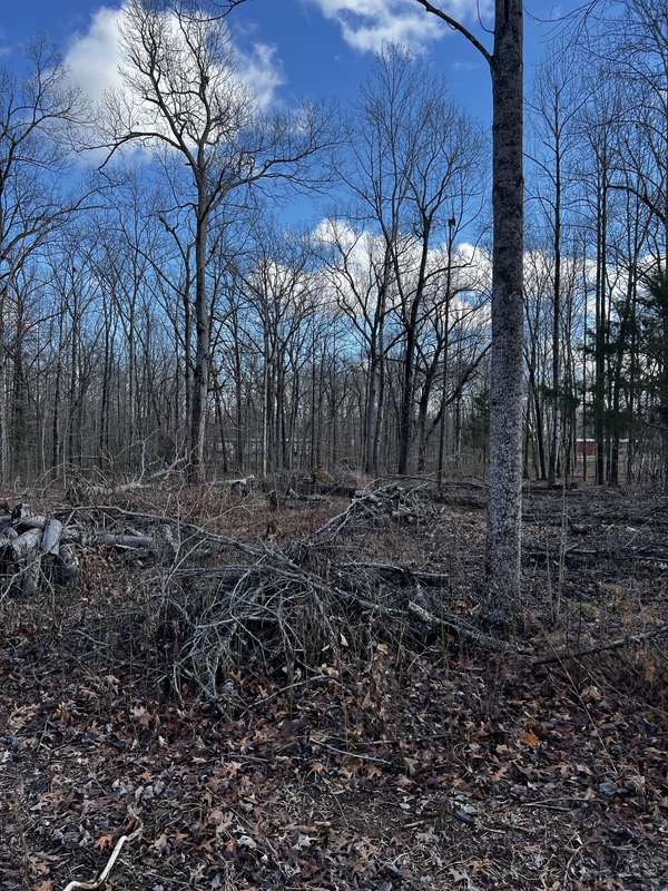 0 Oak Dr, Beechgrove, TN 37018