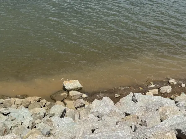 705 River Front Drive, Clifton, TN 38425