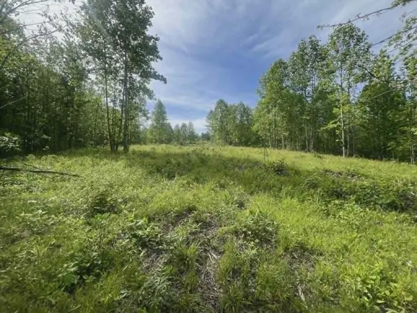 0 Freedom Ridge, Indian Mound, TN 37079