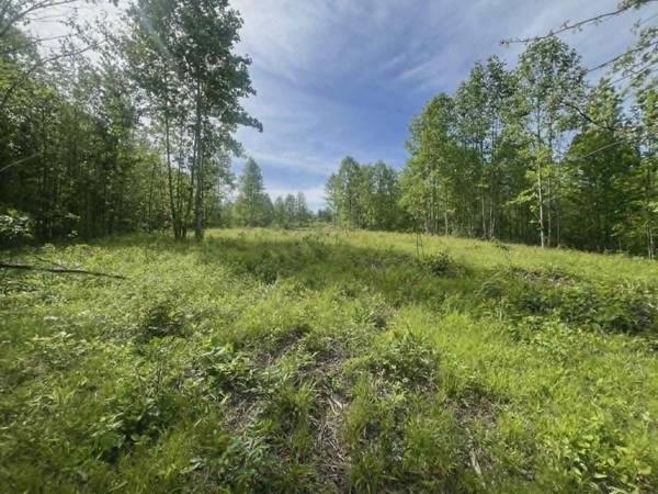 0 Freedom Ridge, Indian Mound, TN 37079