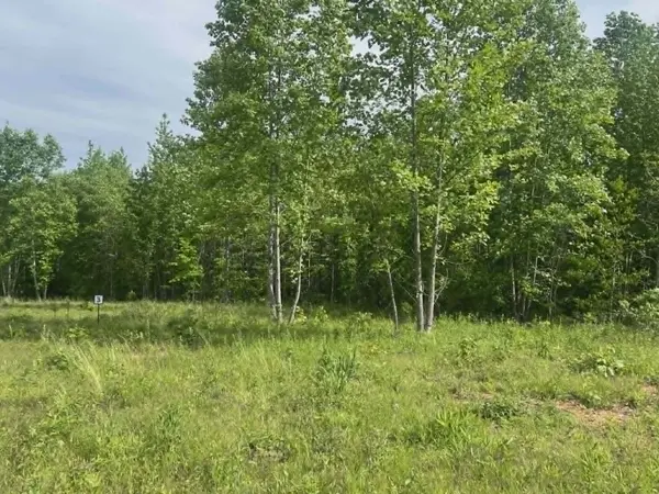 0 Freedom Ridge, Indian Mound, TN 37079