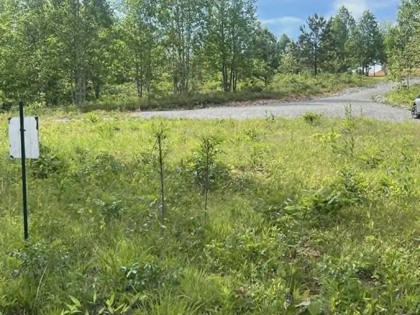 0 Freedom Ridge, Indian Mound, TN 37079
