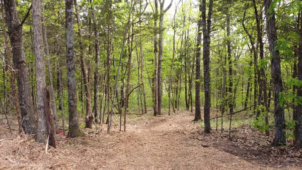 0 Rock Hill Rd, Readyville, TN 37149