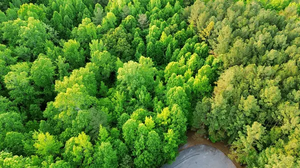 0 Allen Bend Rd, Smithville, TN 37166