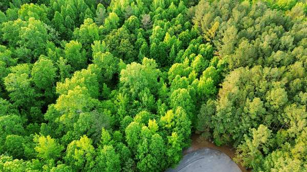 0 Allen Bend Rd, Smithville, TN 37166