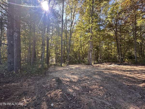 186 Cave Branch Rd, Allardt, TN 38504