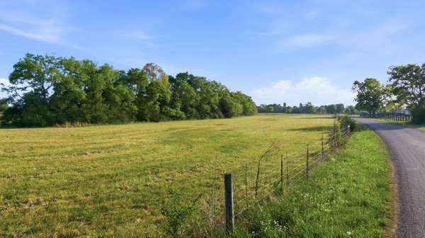 0 Cedar Grove Rd, Chapel Hill, TN 37034