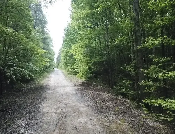 730 Wayne Smith Rd, Saulsbury, TN 38067