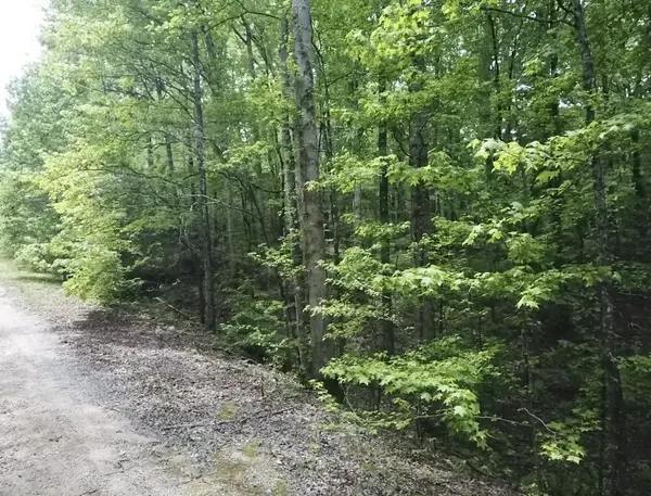 730 Wayne Smith Rd, Saulsbury, TN 38067