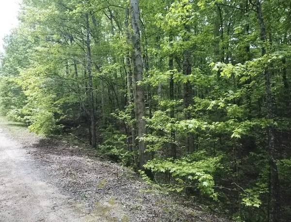 730 Wayne Smith Rd, Saulsbury, TN 38067