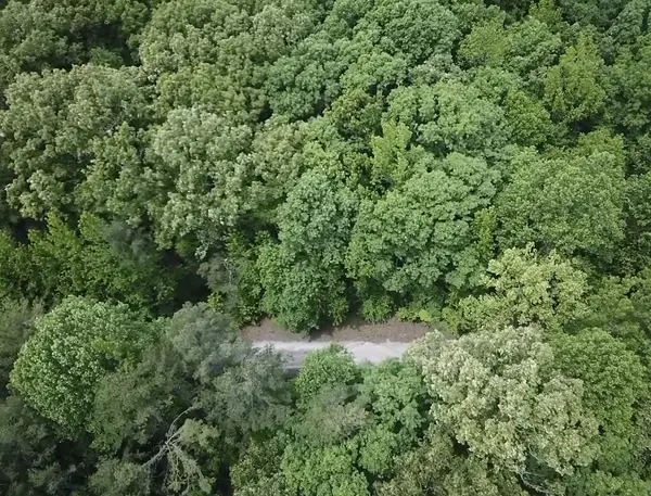 730 Wayne Smith Rd, Saulsbury, TN 38067