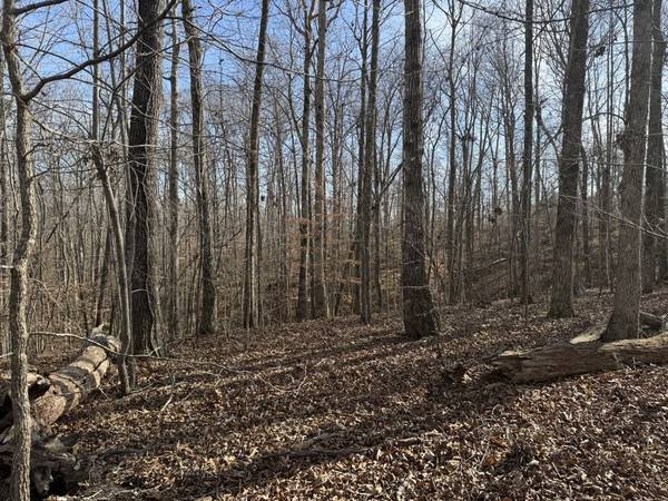 0 Riverwatch Trace, Sparta, TN 38583
