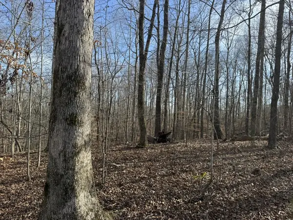0 Riverwatch Trace, Sparta, TN 38583