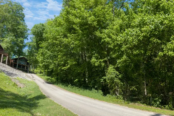 0 BILL PERRY DR, Sugar Tree, TN 38380