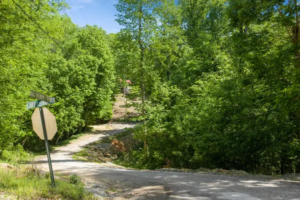 0 BILL PERRY DR, Sugar Tree, TN 38380