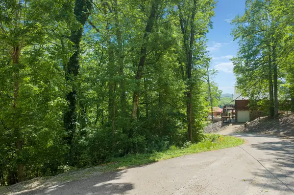 0 BILL PERRY DR, Sugar Tree, TN 38380