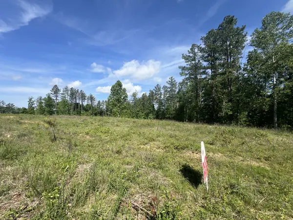 28 Pafford Lane, Erin, TN 37061