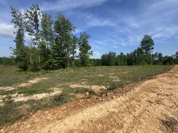 27 Pafford Lane, Erin, TN 37061