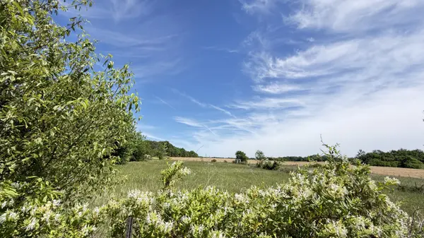 5901 Payne Rd, Portland, TN 37148