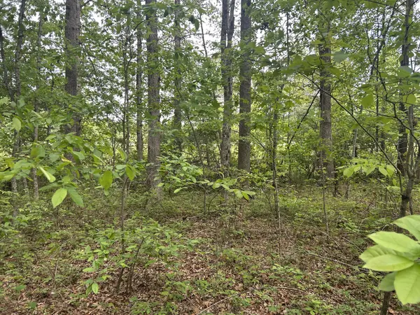 0 RT Davis Rd, Spencer, TN 38585
