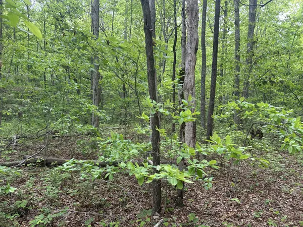 0 RT Davis Rd, Spencer, TN 38585