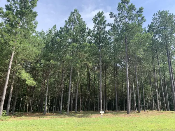 5140 Crockett, Jasper, TN 37347