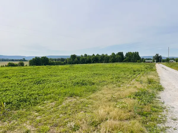 235 Breezy Knoll Ln, Morrison, TN 37357