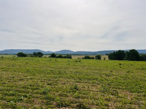 235 Breezy Knoll Ln, Morrison, TN 37357