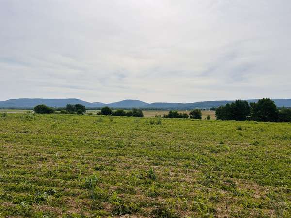 235 Breezy Knoll Ln, Morrison, TN 37357