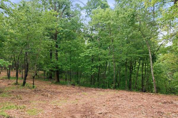 0 Willow Springs Road, Lyles, TN 37098