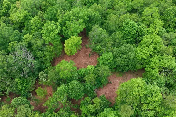 0 Willow Springs Road, Lyles, TN 37098