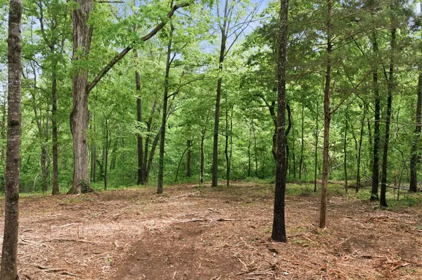 0 Willow Springs Road, Lyles, TN 37098