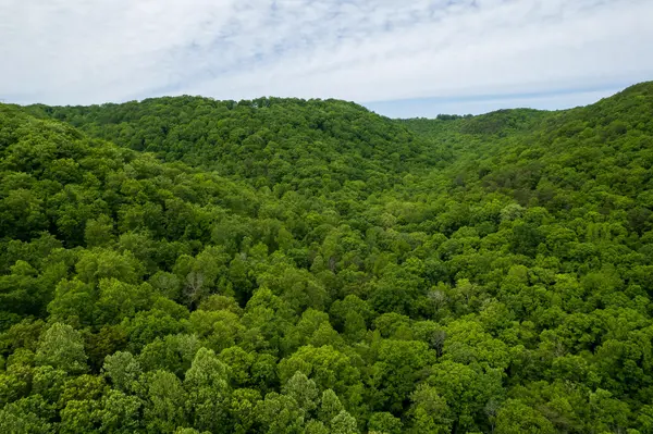 0 Murphy Hollow, Trenton, GA 30752