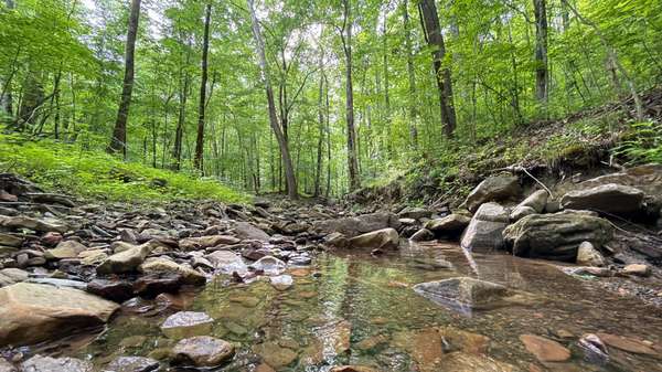 0 Murphy Hollow, Trenton, GA 30752