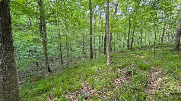 0 Murphy Hollow, Trenton, GA 30752