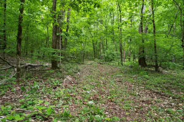 0 Murphy Hollow Rd, Trenton, GA 30752