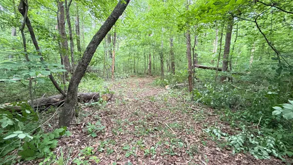 0 Murphy Hollow Rd, Trenton, GA 30752