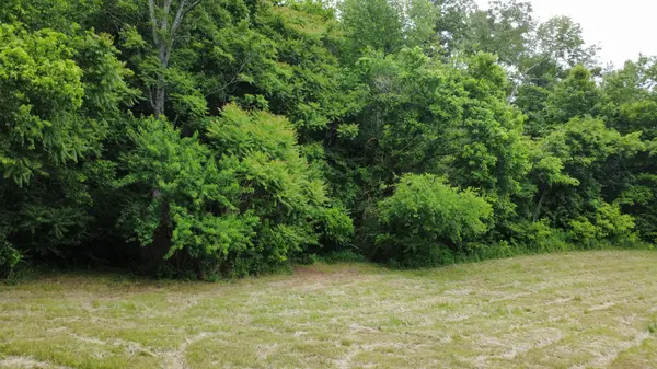 0 Love Branch Rd, Hampshire, TN 38461