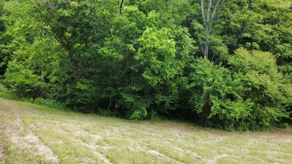 0 Love Branch Rd, Hampshire, TN 38461