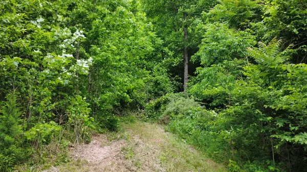0 Love Branch Rd, Hampshire, TN 38461