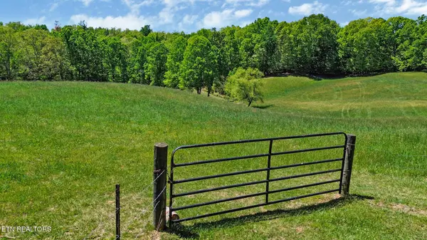 0 Panther Branch Rd, Jamestown, TN 38556