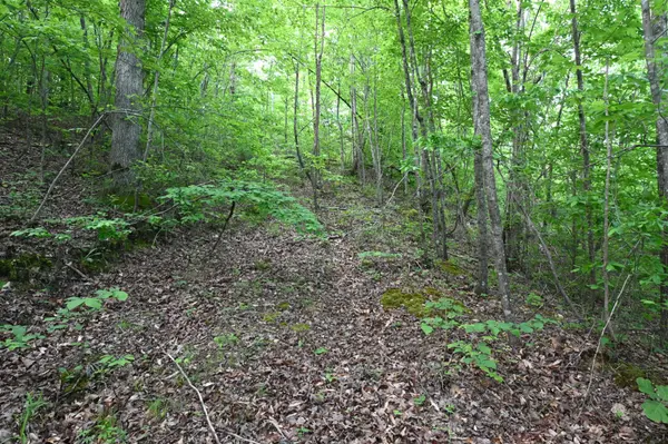 0 Lower Crooked Creek Rd, Lobelville, TN 37097