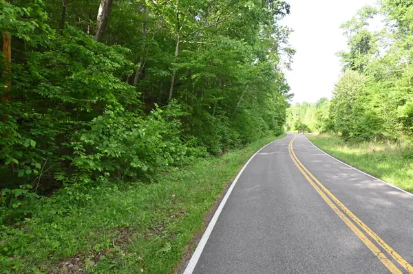 0 Lower Crooked Creek Rd, Lobelville, TN 37097