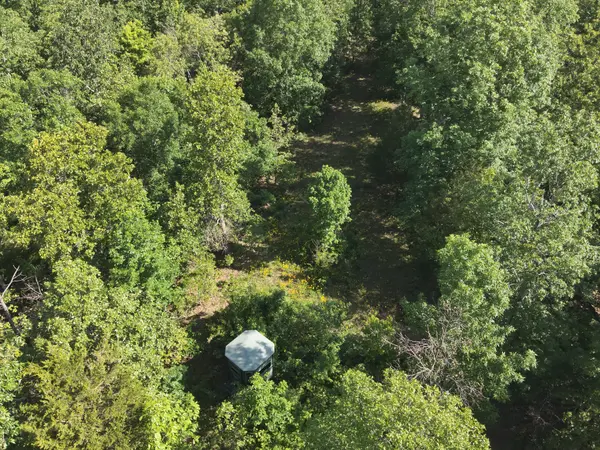 0 Lower Crooked Creek Rd, Lobelville, TN 37097