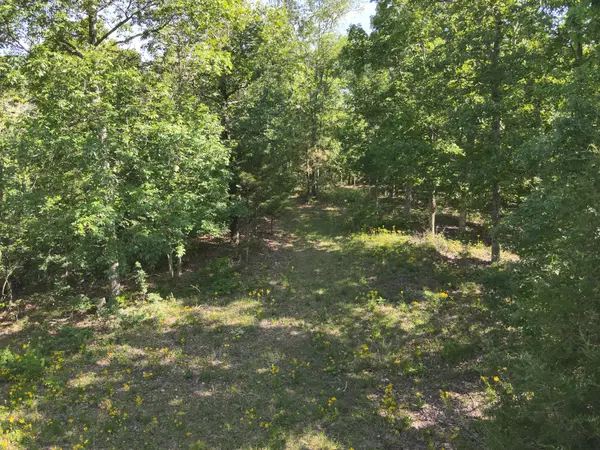 0 Lower Crooked Creek Rd, Lobelville, TN 37097