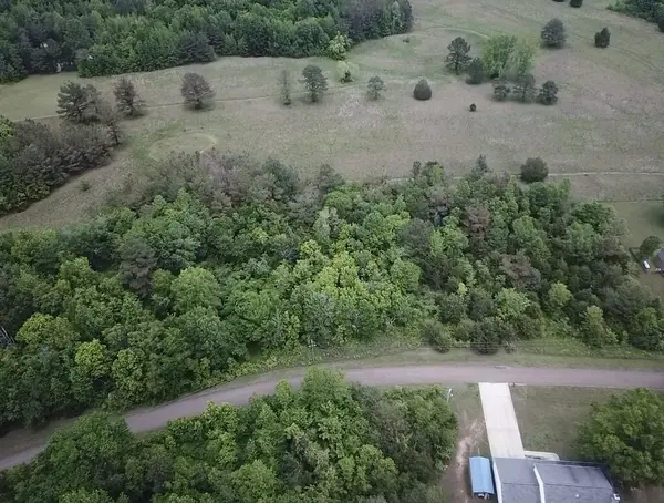 1306 Golf Drive, Saulsbury, TN 38067