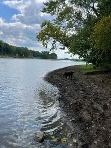 21 BAYVIEW DR, Bumpus Mills, TN 37028