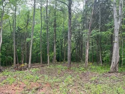 21 BAYVIEW DR, Bumpus Mills, TN 37028