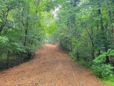 21 BAYVIEW DR, Bumpus Mills, TN 37028
